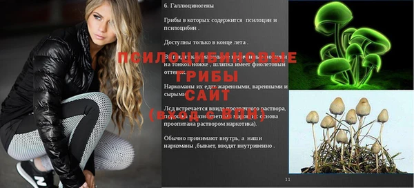 бошки Абаза