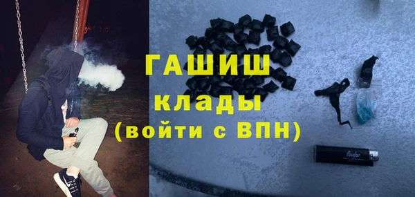 индика Алзамай