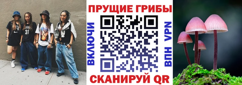 гидра онион  Краснокамск  Галлюциногенные грибы Cubensis 
